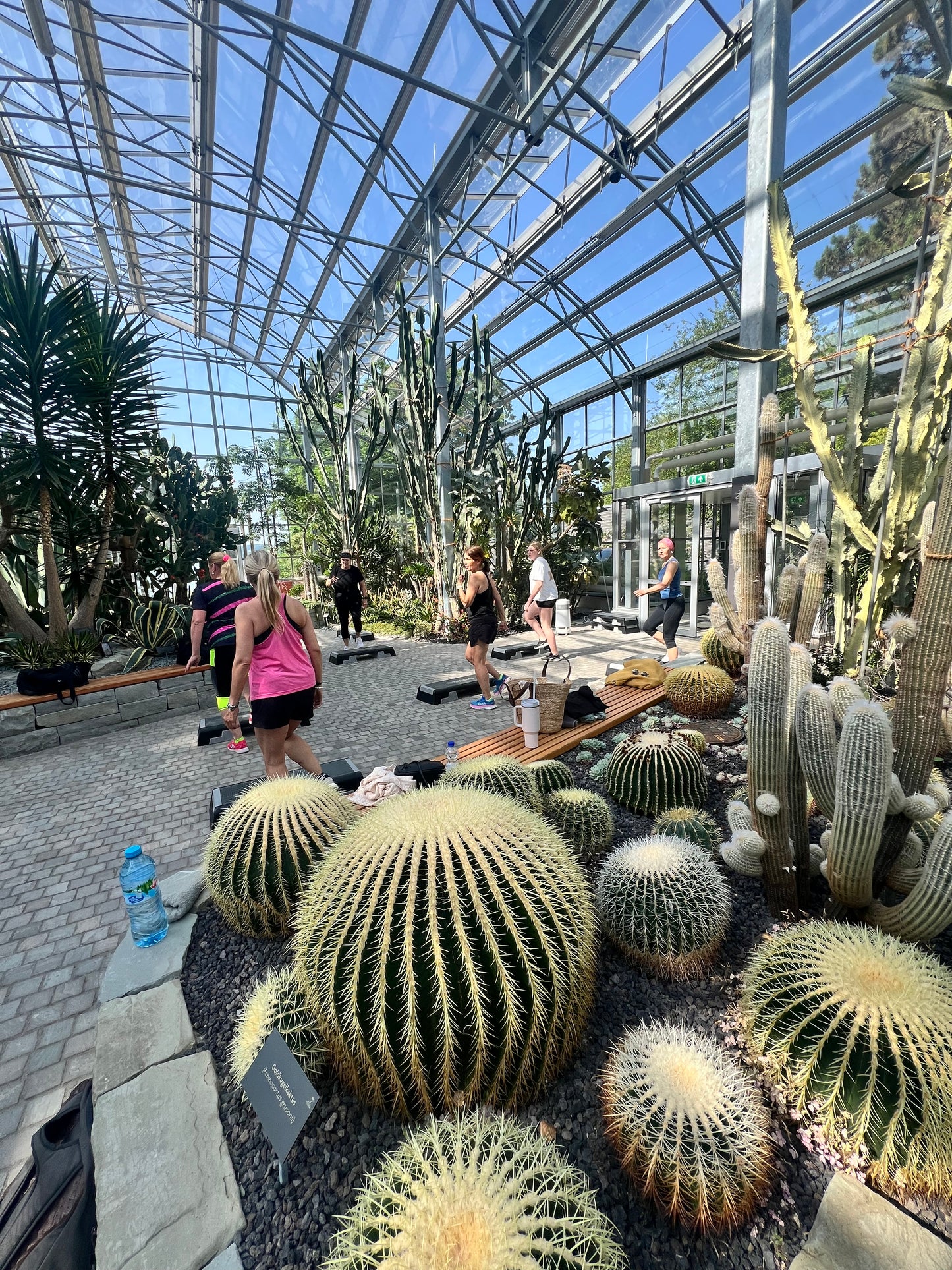 Step Aerobic im Pflanzenhaus LIVE